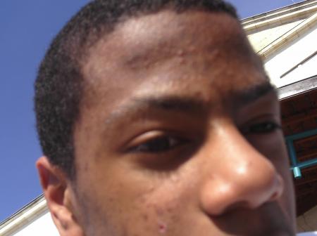swann